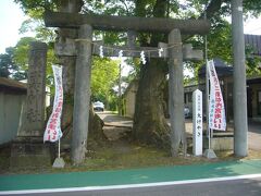 ・・・<鷹ノ巣神社　鳥居>・・・

ここ「鷹ノ巣神社」には「天然記念物　大けやき」があります。

「鷹ノ巣神社」の目的はこの「大けやき」です。