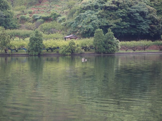 二日目の朝<br /><br />鳥の声がたくさん聞こえました