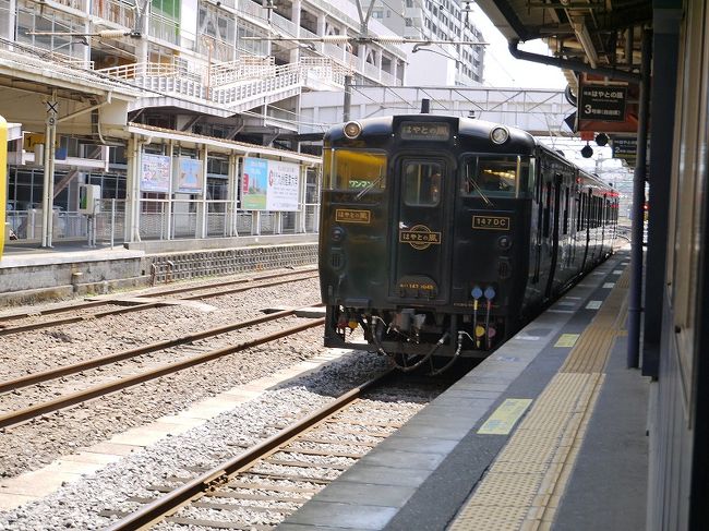 写真撮ってないけど周遊バス、よかった(*'ω'*)<br />運転手さんがところどころ案内を入れてくれるんですが<br />なんというか接客がいいというんでしょうか、癒されるんですよ…<br />次はちゃんとした観光で鹿児島回りたいなぁ<br /><br />(朝も乗っていけばよかったとか、思い返したらダメです)