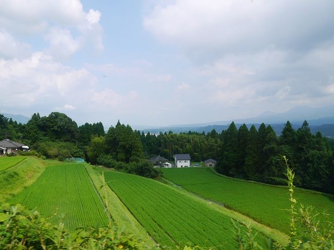既に山の中に踏み込んでますが、<br />こっからはどんどん高度をあげてきますよッ