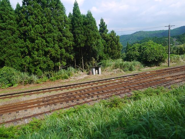 このまさき駅ですが、スイッチバックの線路が引き込まれています<br />(引き込まれてるって表現正しいのかなぁ・・・？)<br /><br />ここでみなさんスイッチバック体験★<br /><br />在来線だと(普段のってる豊肥線)いきなり運転手さんが電車を停め、車両の真ん中を通っていって、反対側から発進させるので知らない人からしてみると「？？？」なわけですが、<br />ここではきちんとお姉さんが説明をしてくれます。<br /><br />至れり尽くせりすぎる。