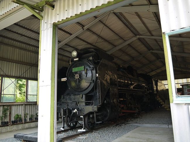 ここは、SLが展示してあるんですねぇ<br />D51、いわゆるデゴイチってやつです。<br /><br /><br />男の子、だけでなく大きな男の子(笑)も食い入るように見ていました<br />