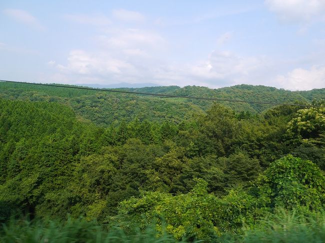 矢岳を出発した後はまた山の中を走ります<br /><br />そして、次の見どころ大畑駅にッ<br />といいたいところなんですが、<br /><br />ここの見どころは、乗ってると「おー」っと体感できますが<br />いかんせん、私の撮影技術では写真に残せませんでした…<br /><br />有名なループの部分を走っているところをカメラに収める鉄さんが多いようですが、その気持ちわかるわぁ…