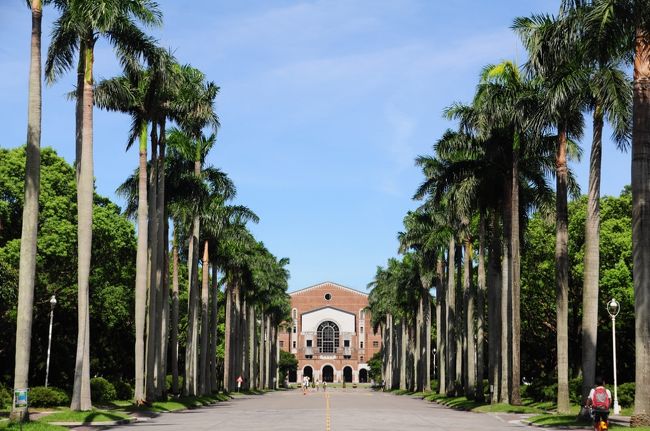 このヤシの並木道、何度見てもすごいーって思いますね。<br /><br />そういえば、厦門大学も校門入るとこんな感じでした。