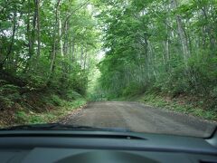 チェックアウト後は、白神山地を走ります。
写真じゃ分かりにくいのですが、
近年珍しいくらいの砂利道と、ヘアピンカーブ。
砂利道はスピードが出せないと、思い出しました。