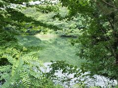 さらに十二湖を走ります。
あまりにも、美しい景色に言葉も出ません。