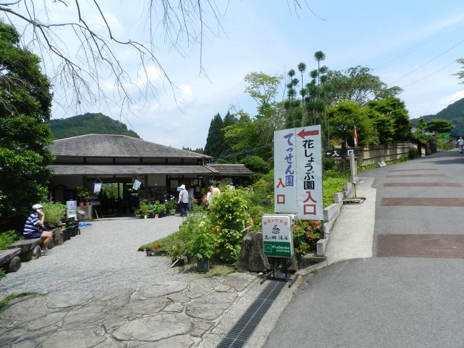花の郷 滝谷はなしょうぶ園 でハナショウブ三昧 奈良県宇陀市室生区 室生 宇陀 奈良県 の旅行記 ブログ By Joecoolさん フォートラベル