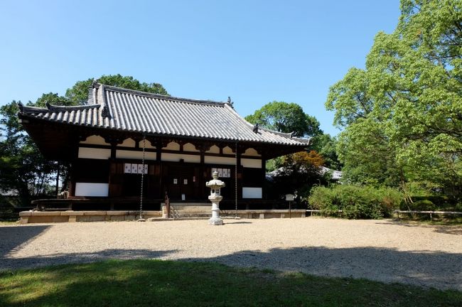 大きな本堂　広い庭<br /><br />アクセントになる燈籠<br /><br />青空が映えます