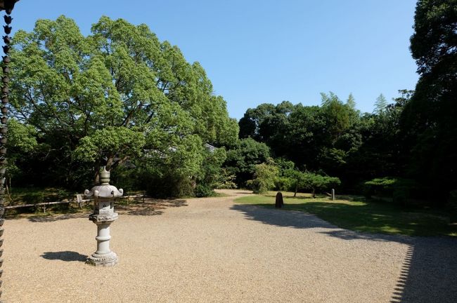 本堂側から庭を眺めます<br /><br />シンプルですが、あるべきものがあるべきところにある感じ