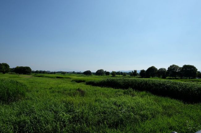海龍王寺をあとにし、少し走ると、広い草原？が見えてきました