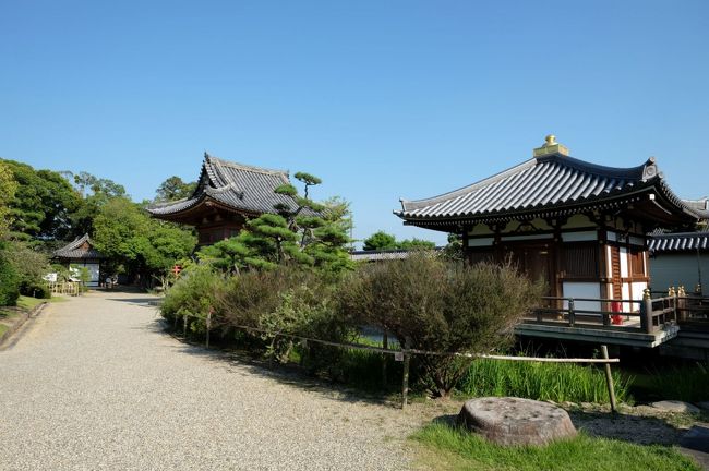 護摩堂、そして鐘楼堂です