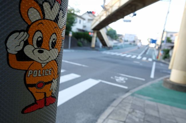 可愛らしいですね