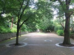 こちらがえきぽ訪問ポイントの一つ、赤羽緑道公園です。