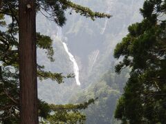 滝見台ではバスを停車して車窓からですが、称名滝を見せてくれました
