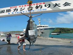 たまたまこの日は、カジキマグロ釣り大会で、島はそれ一色です。
全く関係のない我々みたいな観光客はほぼ構われません。