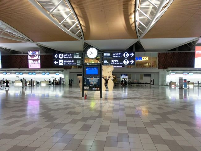 　新千歳空港　国際線ターミナル。<br /><br />　もう20時なので、ハワイアン航空に搭乗する人だけです。<br /><br />　ビジネスクラス、特別料金で安くなってますがいかがですか？<br />と聞かれましたが、エコノミーで･･･。<br />