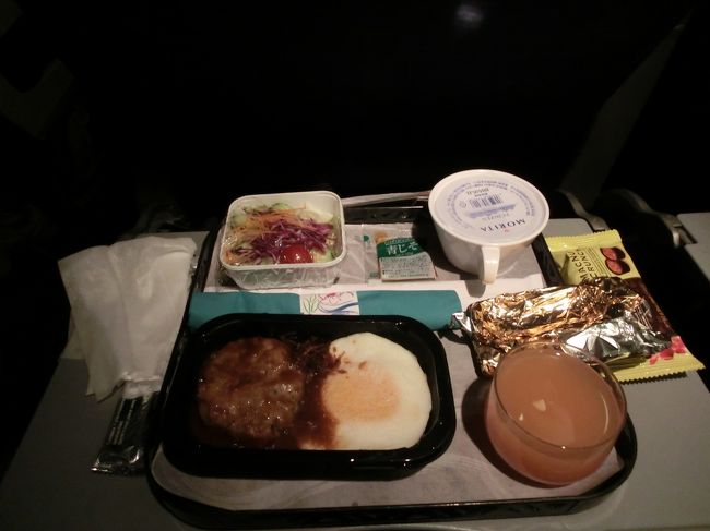 　ほぼ定刻で出発しました。満席のようでした。<br /><br />　約１時間程度で、ロコモコです。<br />ハワイアン航空は、みんな同じ食事になります。<br /><br />　映画は、「小さなおうち」と「LEGO MOVIE」でした。