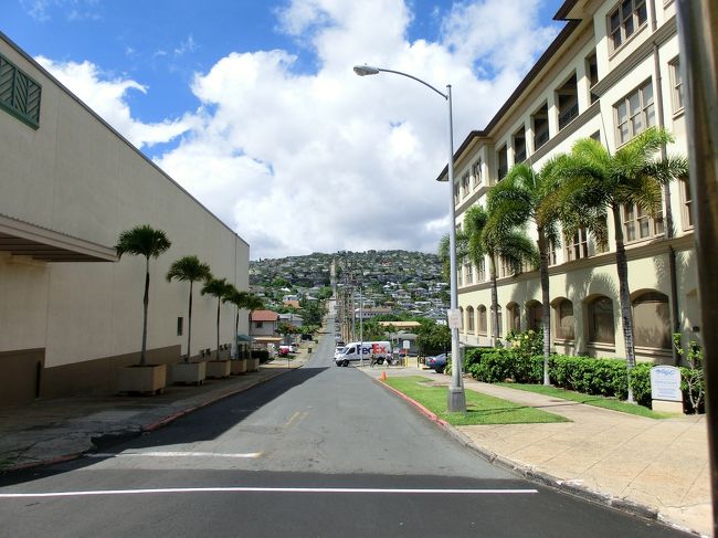 　ずーっと山まで続く長ーい、一本道。<br /><br />　登ったらまた絶景なんだろうなー。