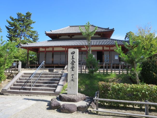 まずは、右手に見えてきた大きな建物「四王堂」です。<br /><br />西大寺は、奈良時代７６４年に、称徳天皇の勅願により建立されました。<br />普通、金堂（本堂）を建てて、如来さまを祀るのが最初ですが、西大寺では、最初に四天王さまが祀られたそうです。<br /><br />現在の四王堂は、１６７４年に建立されたものだそうです。