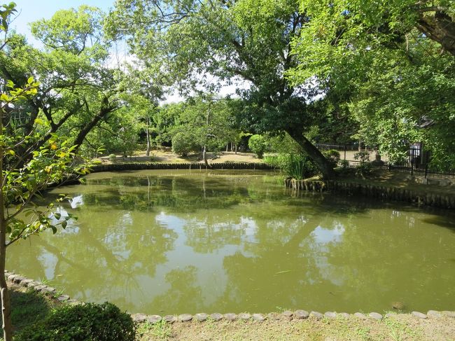 池もあります。