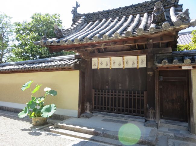 では、駅へ向かいます。<br /><br />最後に、清淨院の蓮をもう一度♪