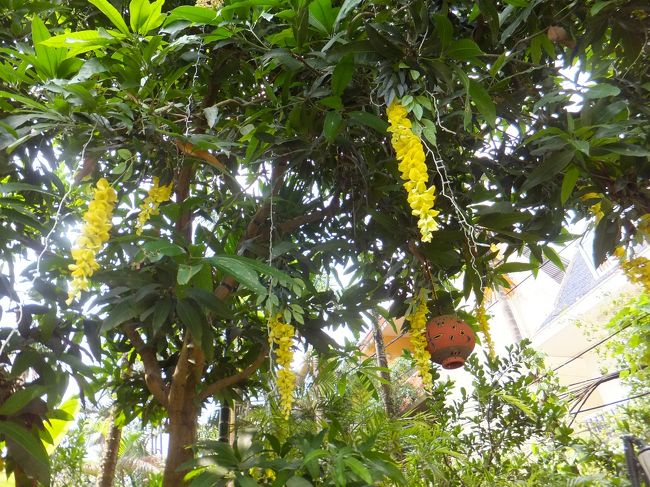 【Ｋｕ　ｏｉ　Ｑｕａｎ】<br /><br />