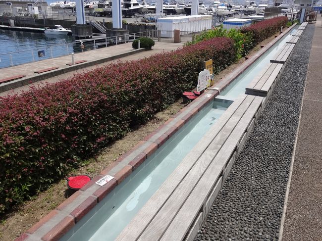 御土産屋さんの裏に足湯がありました。日が照っていたので、人が少なかったです。