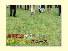 宝塚記念が終わった後　阪神競馬場の芝生を歩き
感動した自分が情けない…
