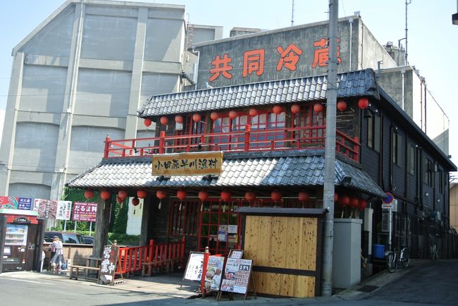 小田原の漁港で