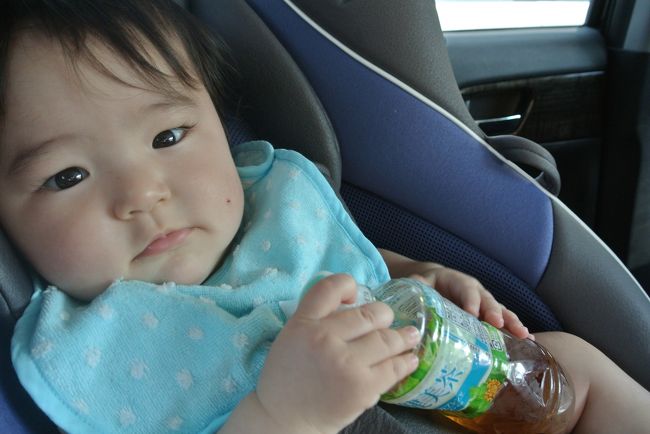 もう<br />爽健美茶のCM依頼来ちゃうよー<br />きゅんきゅん