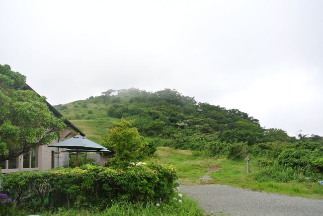 ロープウェイへ行く途中の山の中は