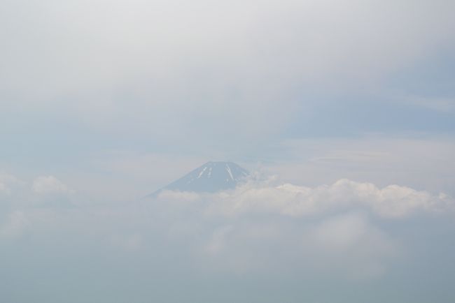 ぶいーんとドライブしてたら<br />ちらっと見えたよ富士山！