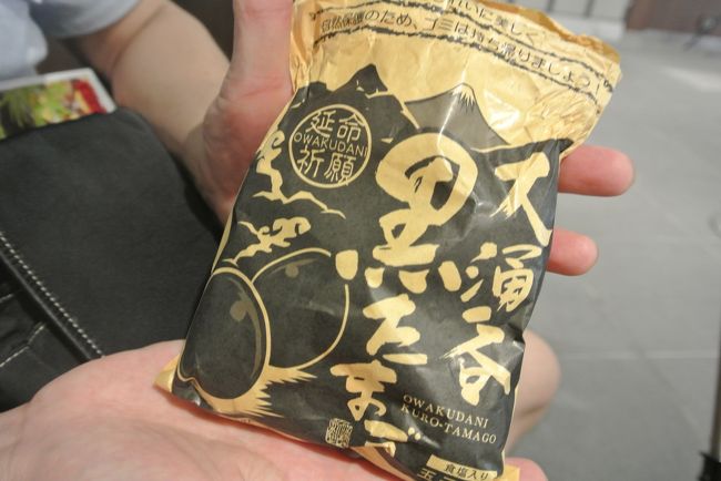 せっかく来たんだし購入