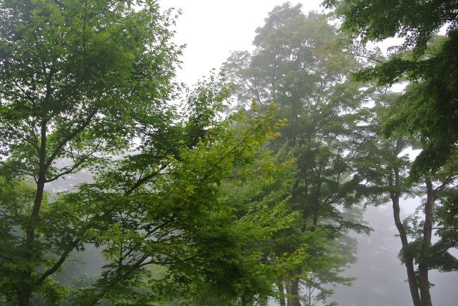 駐車場はマイナスイオンだらけ