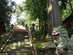 裾野市須山に鎮座する南口下宮「須山浅間神社」です。