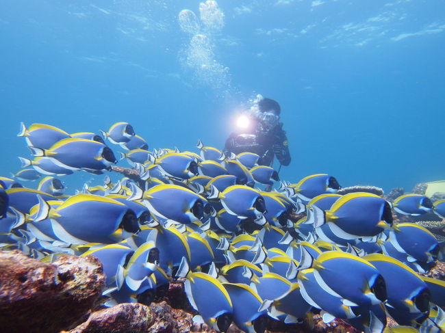 これぞモルディブ。パウダーサージョン