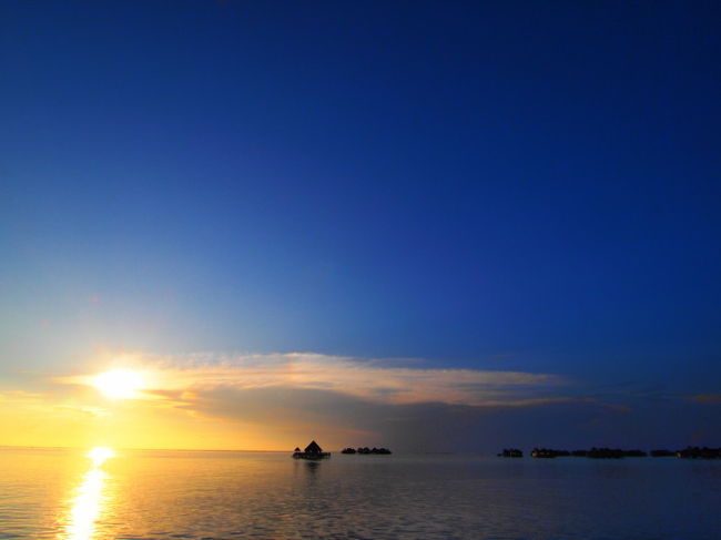 陽はまたのぼる