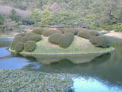 ハート形の恋つつじ
小路を歩いていたら看板が出ていました。
わざとではなく、剪定していったらこのような形になったらしいです。
