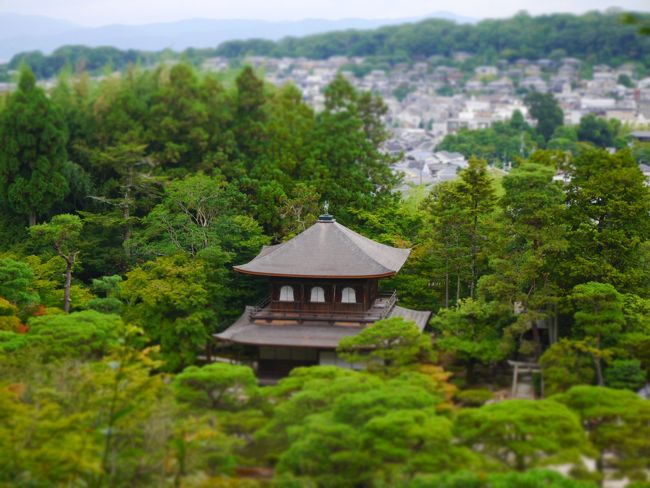 庭園の高台からは遠く送り火の山まで見渡せます。