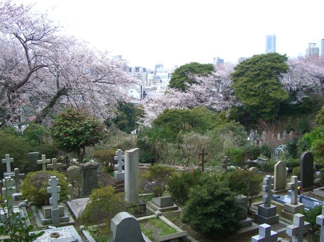 エライザ シドモアと横浜外国人墓地 横浜 神奈川県 の旅行記 ブログ By 旅遊de道楽さん フォートラベル エライザ シドモアと横浜外国人墓地 横浜 神奈川県 の旅行記 ブログ By 旅遊de道楽さん フォートラベル