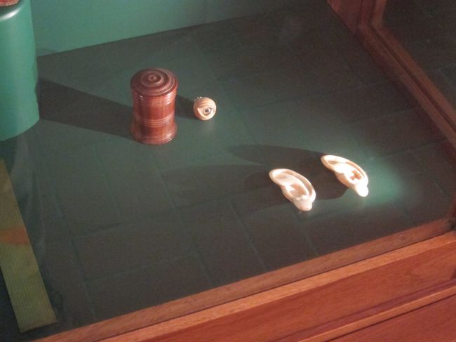 耳と目玉って、これは何なのでしょう？