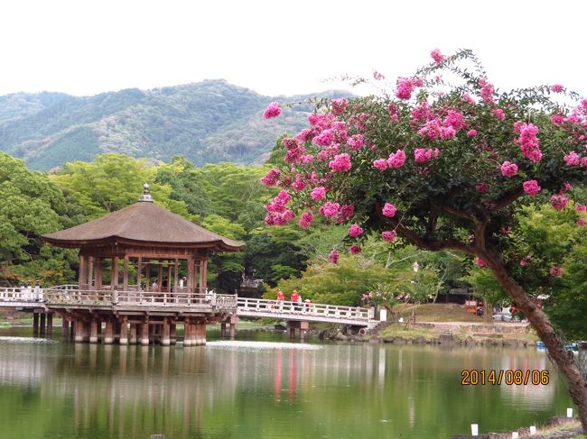 ３時ころまで寺社めぐりと国立博物館で五大明王像を見学して<br /><br />浮見堂近辺で疲れた足腰を休めて<br /><br />点灯時間まで休憩