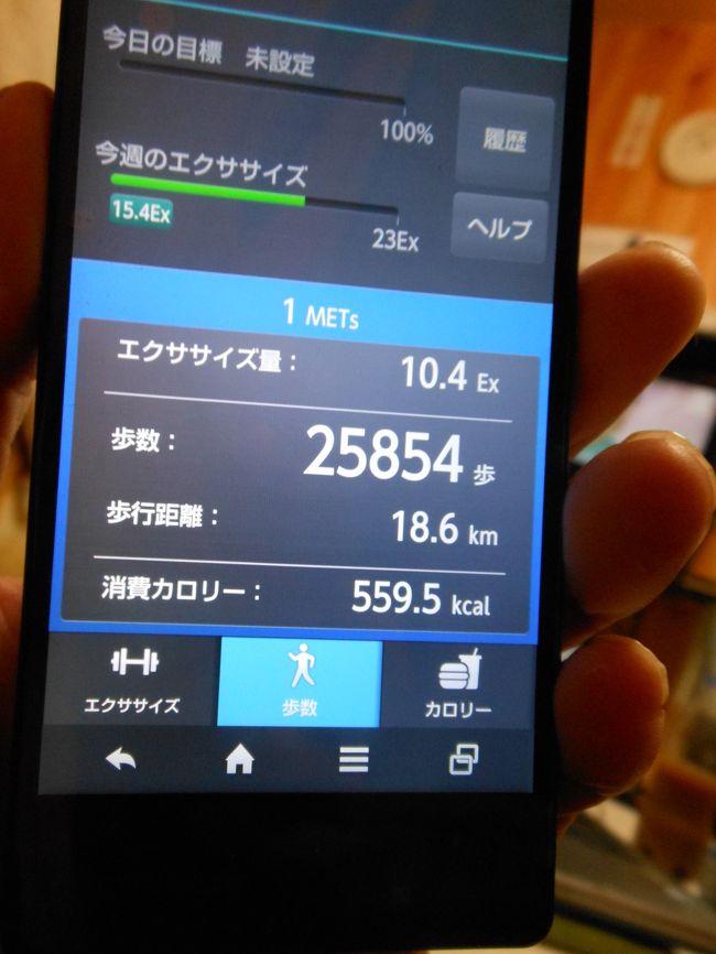 これで終わりです<br />最後までお付き合い　だんだん<br /><br />今日の歩行距離　　１８，６km<br />    　　歩行数　　２５８５４歩<br /><br />奈良寺社めぐり・醍醐寺のすべては後日にＵＰします　　