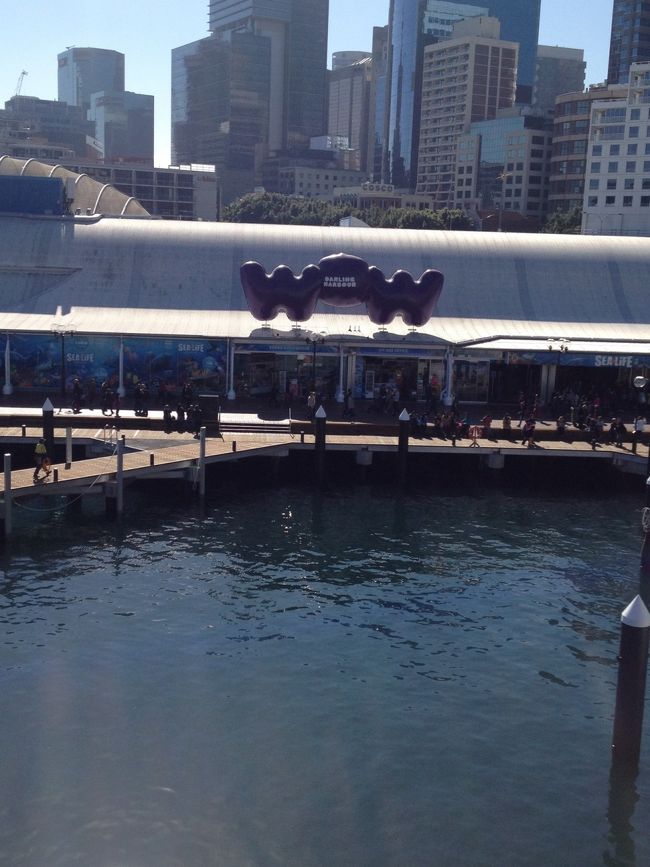 ホテルで朝食のあと、徒歩でシー・ライフ・ シドニー水族館へ。