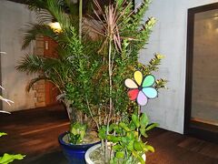 夜のココテラス

良い感じです。