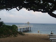 朝の散歩

ココテラスから近い、観音崎、フサキビーチ

今日も曇り、風もあります・・・