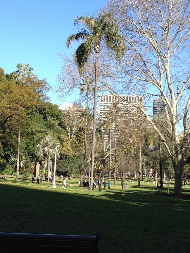 お腹もいっぱいになったので、ぶらぶらと散策。