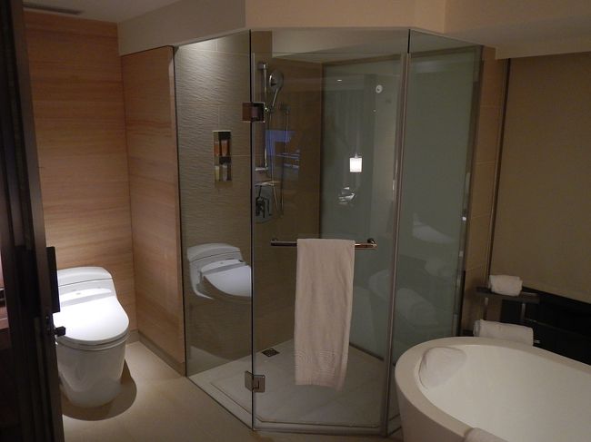 こういうバスルームって需要？要望？人気？あるんでしょうか？？見た目はスタイリッシュなのかもしれませんが、居心地悪しですね、残念。