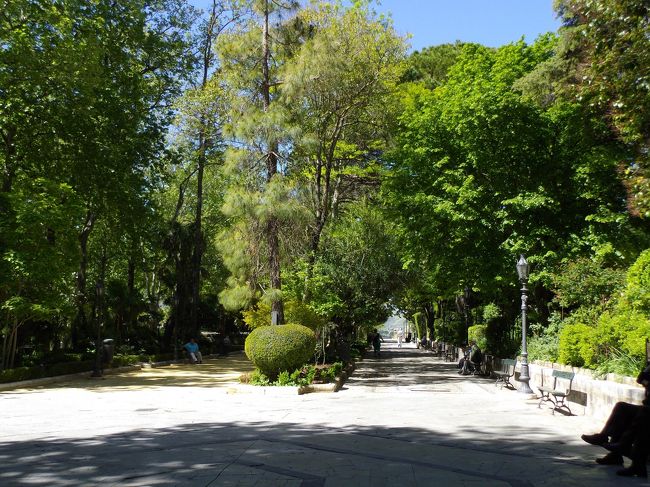 バスを降りて、バスターミナルからヌエボ橋方向に歩きます<br />公園がありました<br />アラメダ・タホ公園