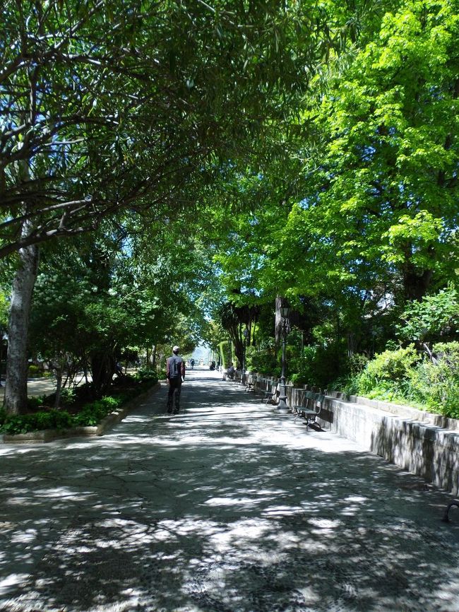 涼しそうなので、入ってみました